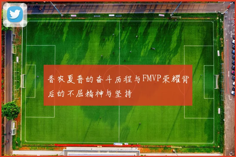香农夏普的奋斗历程与FMVP荣耀背后的不屈精神与坚持